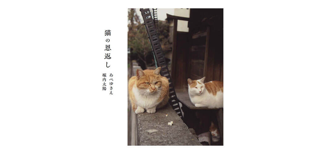 【刊行 第2弾】イラストレーターあべゆきえさんの写真集『猫の恩返し』を10/25からの写真展で先行販売