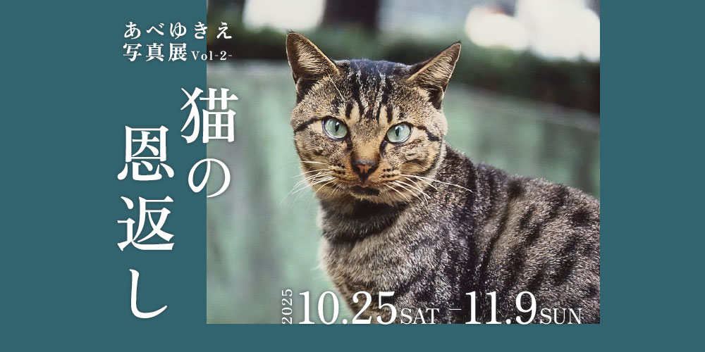 【10/25～11/9】あべゆきえ写真展 Vol-2-「猫の恩返し」を下町画廊VOL VOLARE®︎で開催＆写真集を先行発売